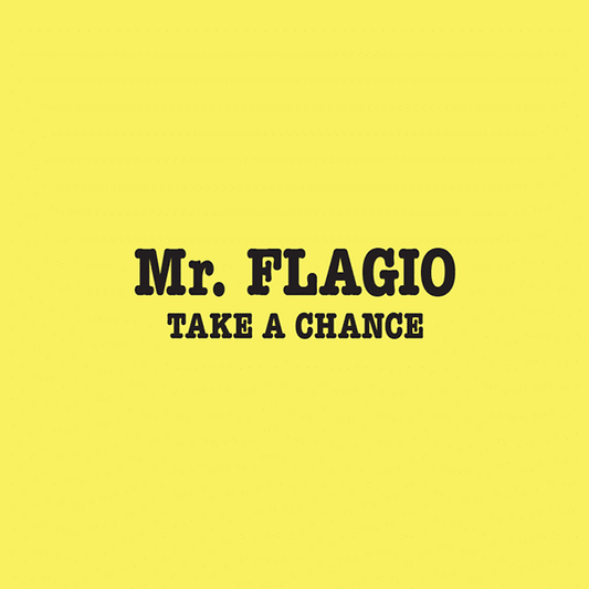 Mr. Flagio - Take A Chance 12"