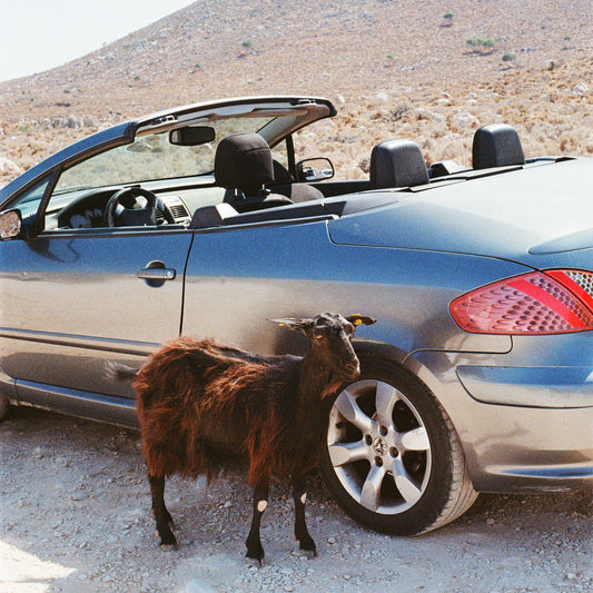 EXEK - Prove The Mountains Move LP (Pre-order)