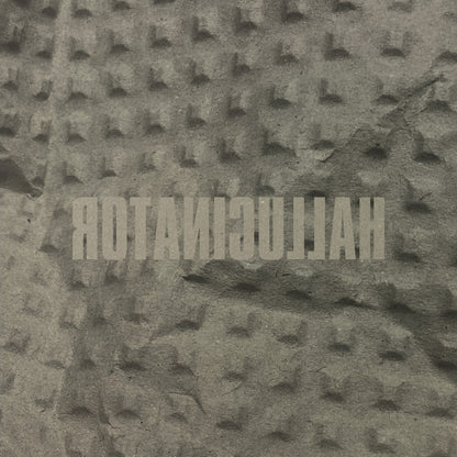 Hallucinator - Landlocked 2xLP (Chain Reaction 98-99) (Pre-order)