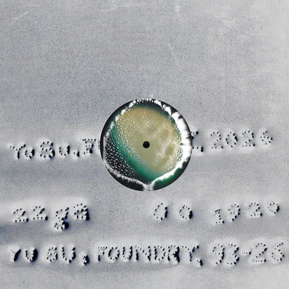 Yu Su - Foundry LP (Pre-order)