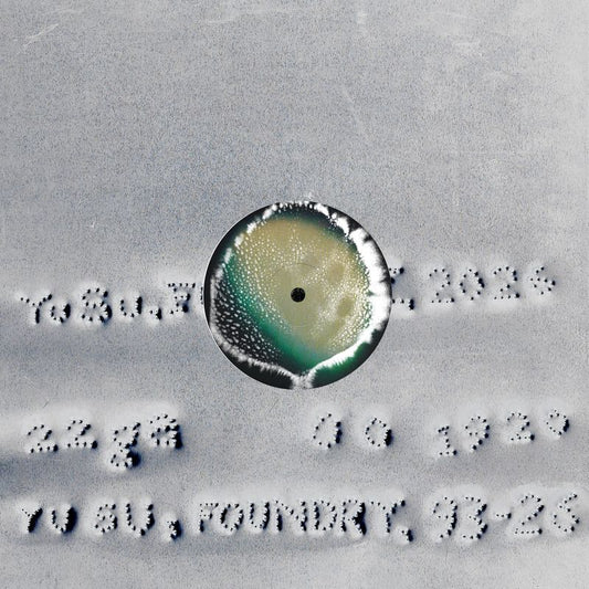 Yu Su - Foundry LP (Pre-order)