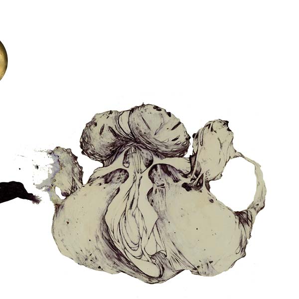 Coil - The Ape of Naples 2xLP