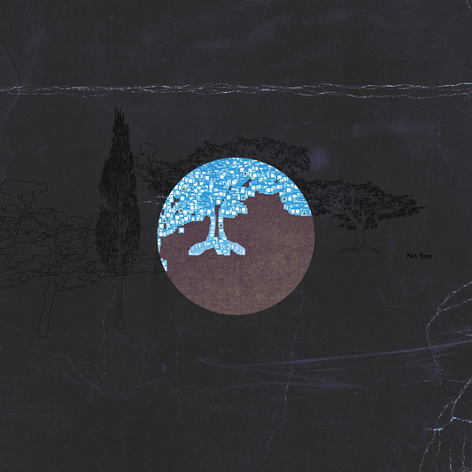 No You - No You (Davy Kehoe (Wah Wah Wino) & Suzanne Kraft) LP (Pre-order)