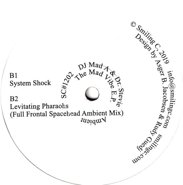 DJ Mad A & Dr. Stevie The Ambient Guru - The Mad Vibe EP 12"