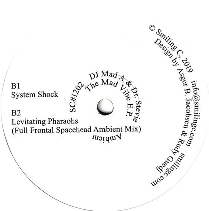 DJ Mad A & Dr. Stevie The Ambient Guru - The Mad Vibe EP 12"