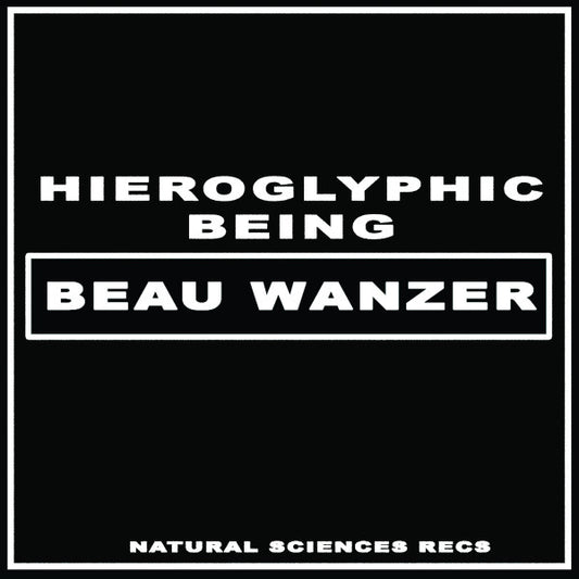 Beau Wanzer x Hieroglyphic Being - 4 Dysfunctional Psychotic Release & Sonic Reprogramming Purposes Only 12"