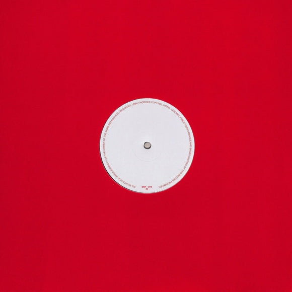 Ricardo Villalobos - Wings 12"
