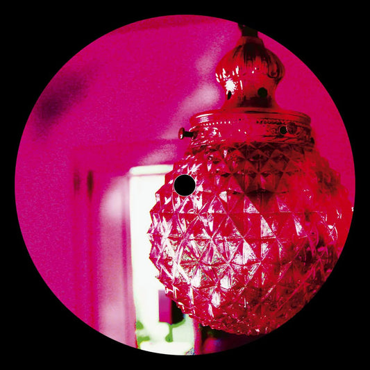 Steve Bicknell - Lost Recordings #4 12"