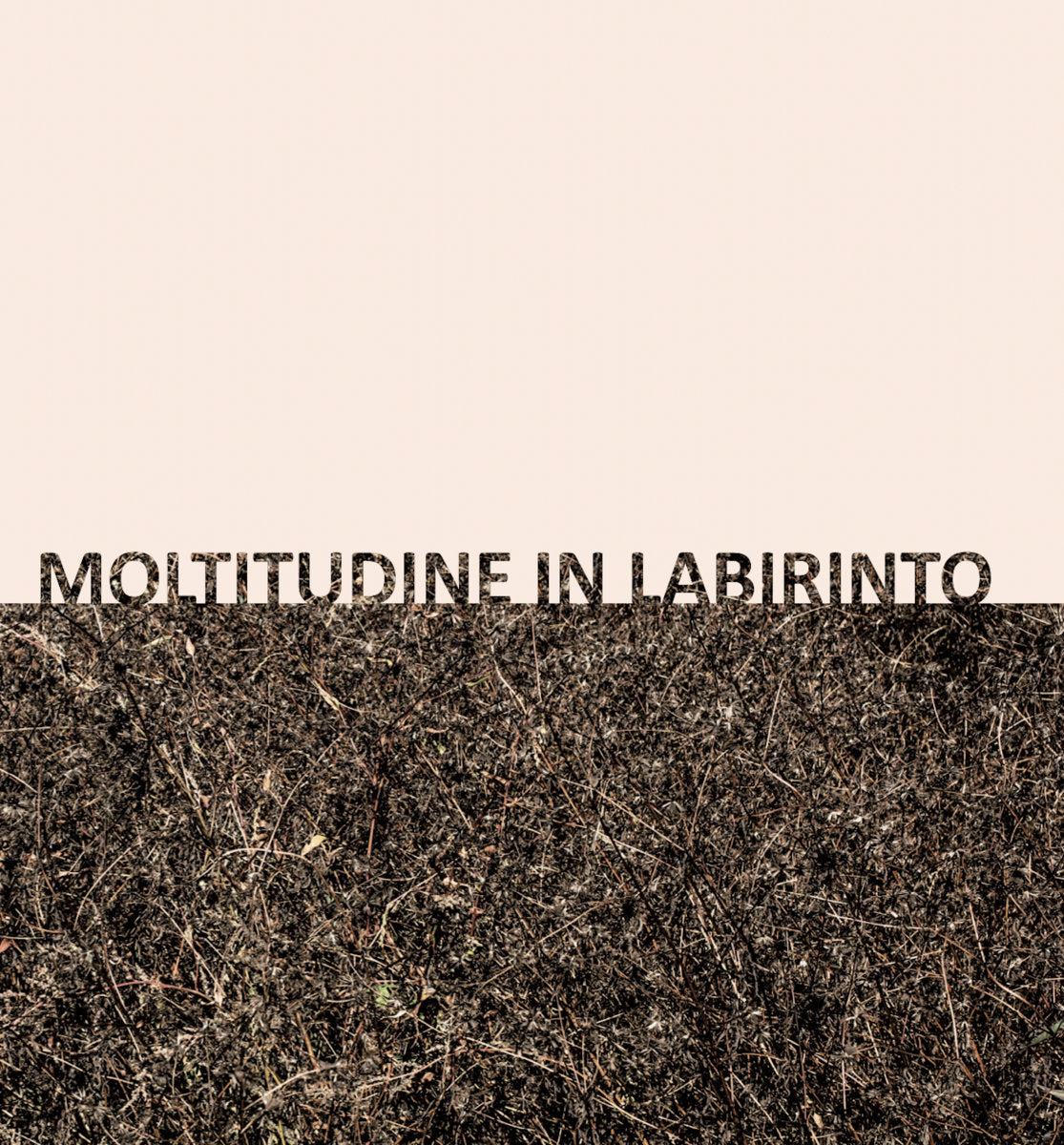 Gigi Masin & Giuseppe Caprioli - Moltitudine in labirinto LP