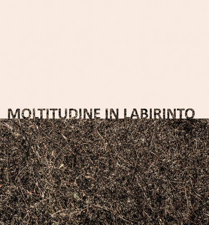 Gigi Masin & Giuseppe Caprioli - Moltitudine in labirinto LP