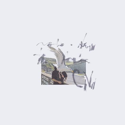 Ciro Vitiello - Notes from the Air LP