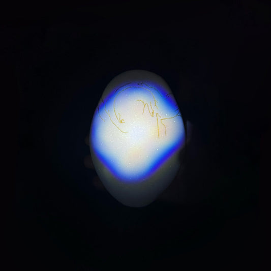 Donato Dozzy & Sabla - Morpho EP 12"