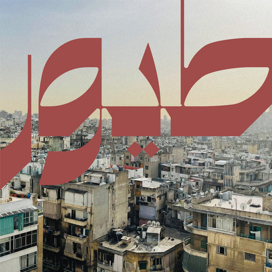 Nour Sokhon - Beirut Birds / طيور بيروت LP