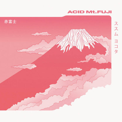 Susumu Yokota - Acid Mt. Fuji 2xLP