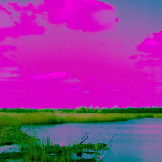 MOY - The Caustic Wymondham EP