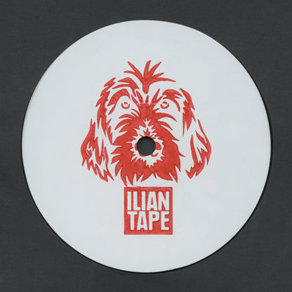 re:ni & BiggaBush - Bass Is The Space 12"