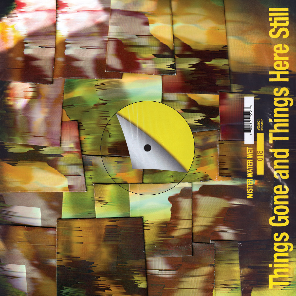 Mister Water Wet - Things Gone and Things Here Still LP