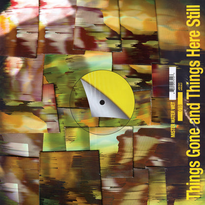 Mister Water Wet - Things Gone and Things Here Still LP