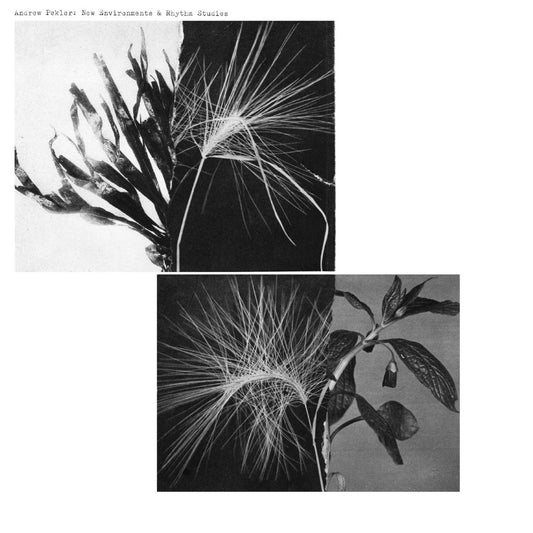 Andrew Pekler - New Environments & Rhythm Studies LP