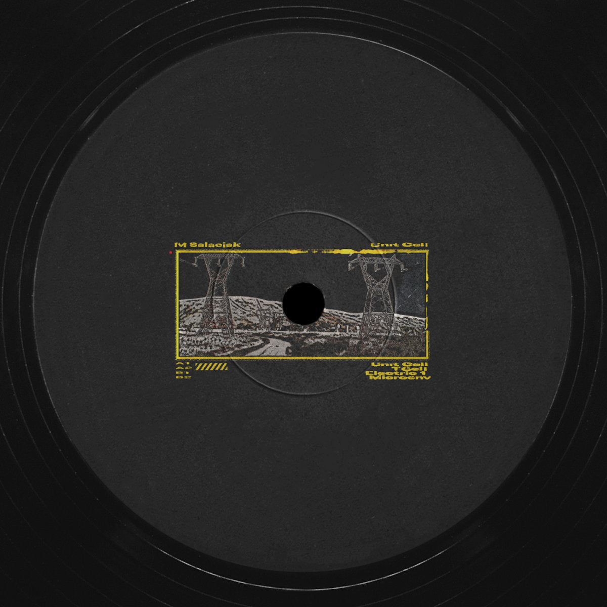 M Salaciak - Unit Cell 12"