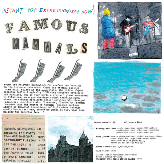 Famous Mammals - Instant Pop Expressionism Now! LP