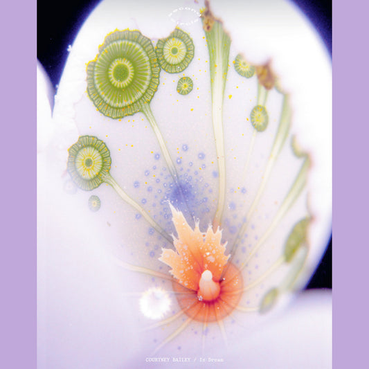 Courtney Bailey - In Dream LP