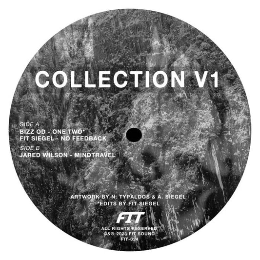 V/A - Collection V1 (FIT-024, FIT Siegel, Jared Wilson) - 12"