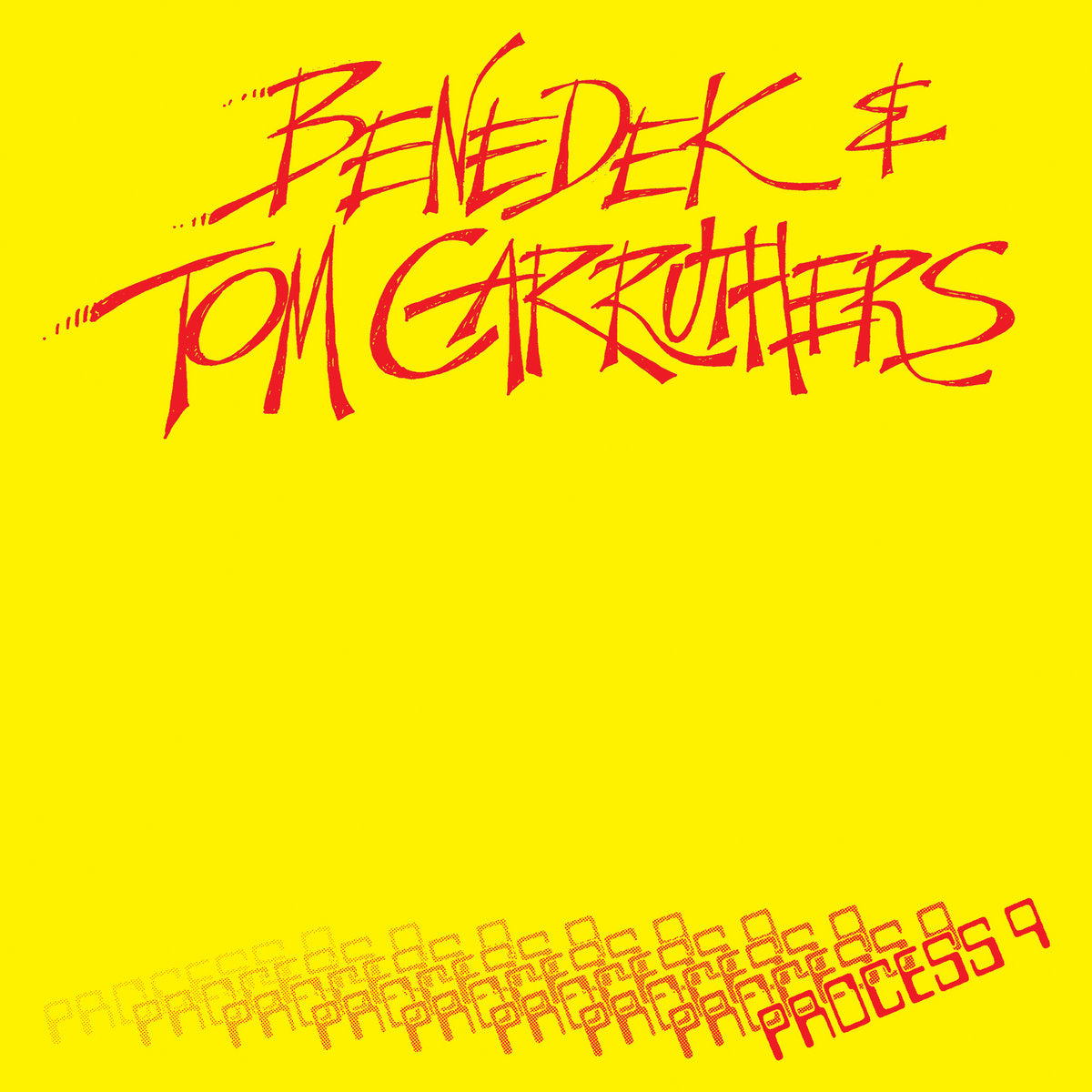 Benedek & Tom Carruthers - Process 9 LP