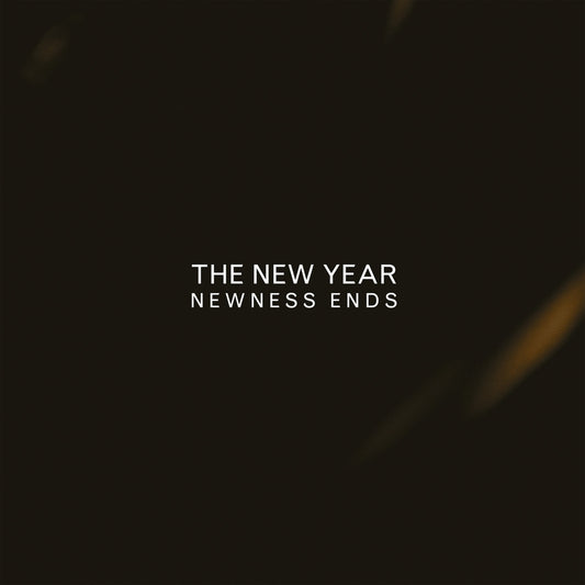 The New Year - Newness Ends LP
