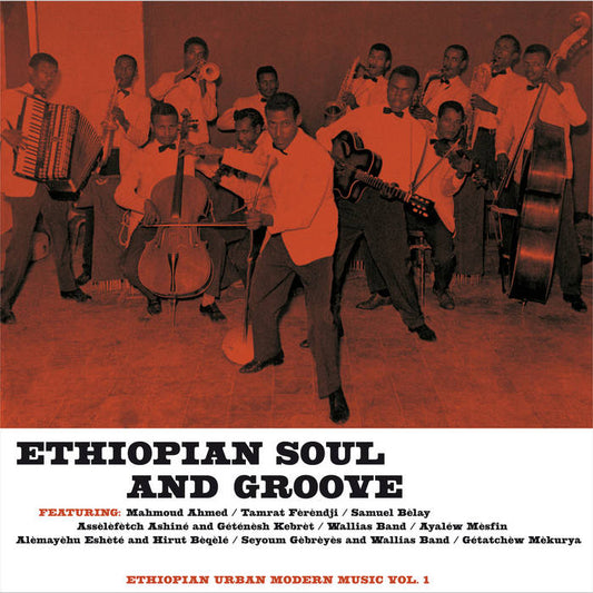 V/A - Ethiopian Soul and Groove LP