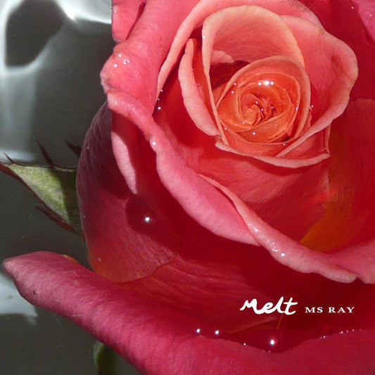 Ms Ray - Melt EP 12"