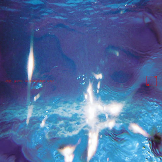 Fabiano Do Nascimento & E Ruscha V - Aquáticos LP