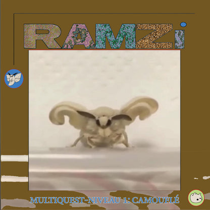 RAMZi - Multiquest Niveau 1: Camouflé LP