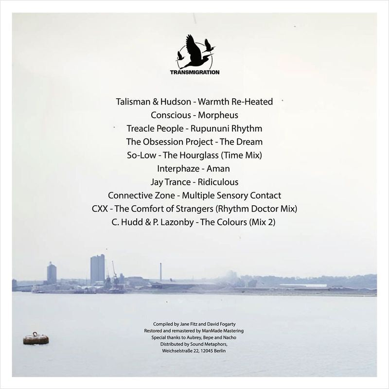 V/A - Mysterious Vastness 2xLP (Pre-order)