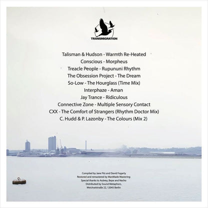 V/A - Mysterious Vastness 2xLP (Pre-order)