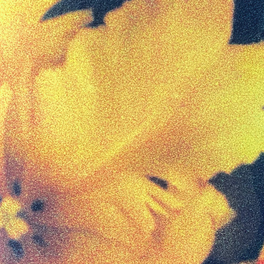 nthng - Last Light of the Sun 2xLP (Pre-order)