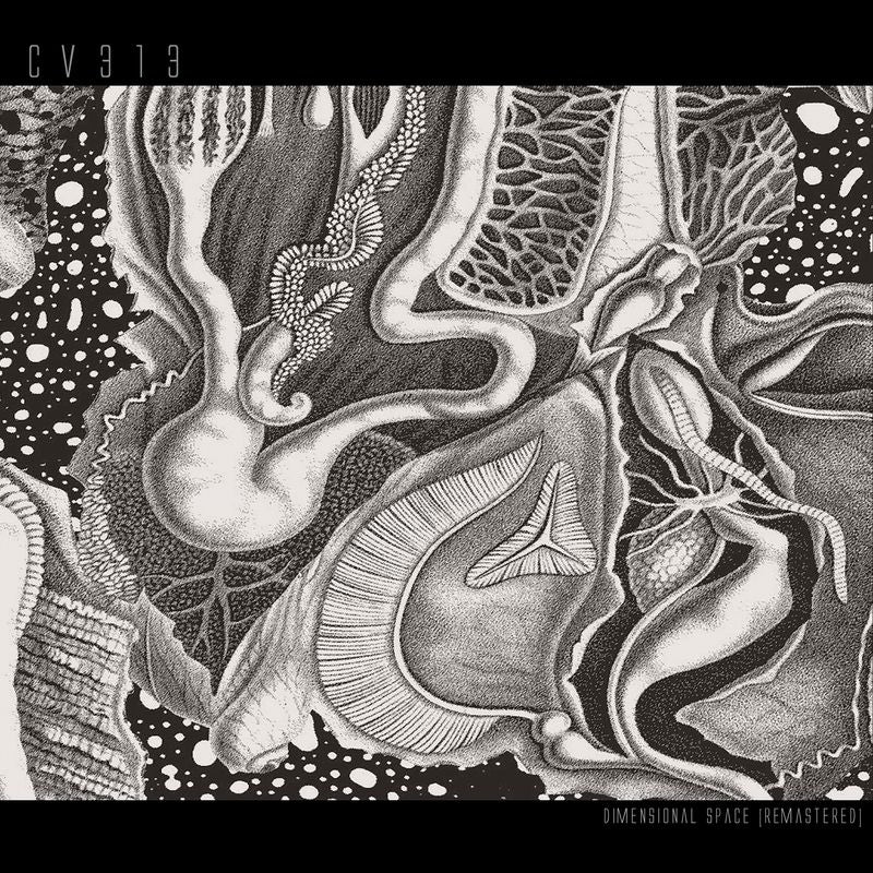 cv313 - Dimensional Space [Remastered] 3x12" (Pre-order)
