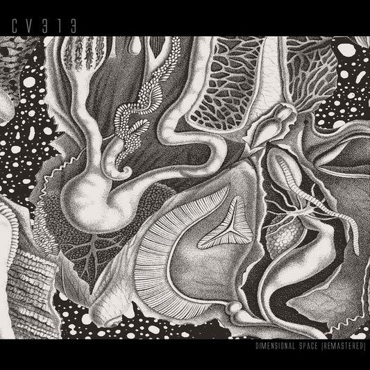 cv313 - Dimensional Space [Remastered] 3x12" (Pre-order)