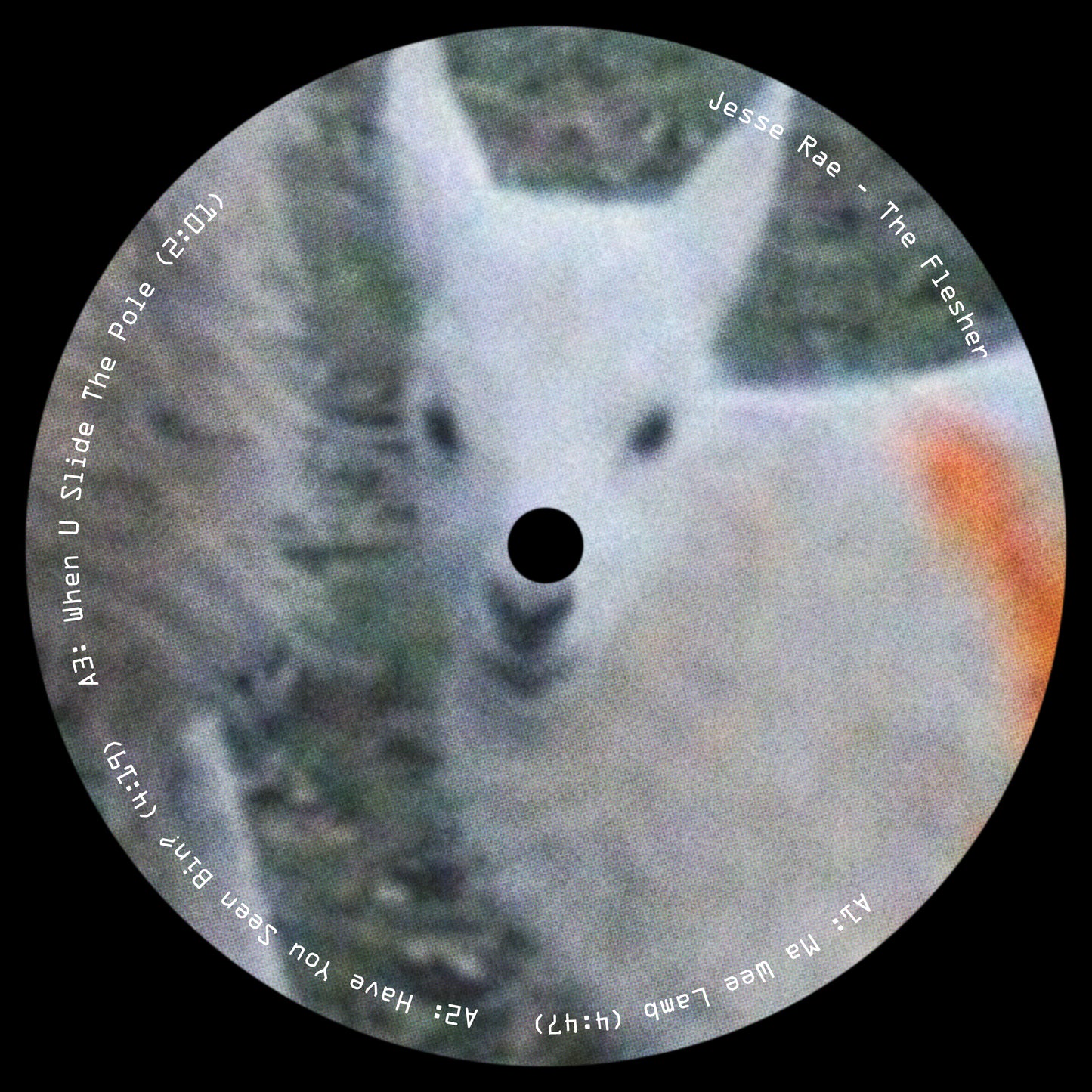 Jesse Rae - The Flesher 2xLP (Pre-order)