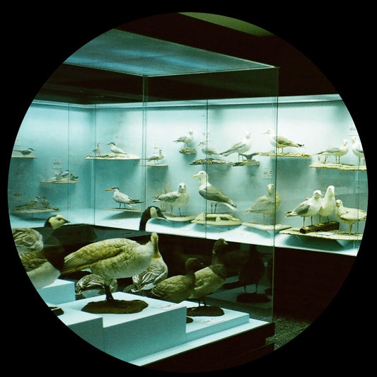 Yogg - Don’t You 12"