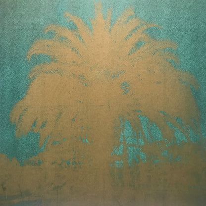 Viola Klein - New Chapter LP (w/ Kassem Mosse, Nidia, Whodat)